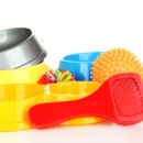 柴犬専門ブリーダー｜四国朝霧荘[徳島]｜シバシバパラダイス