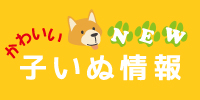 子犬情報